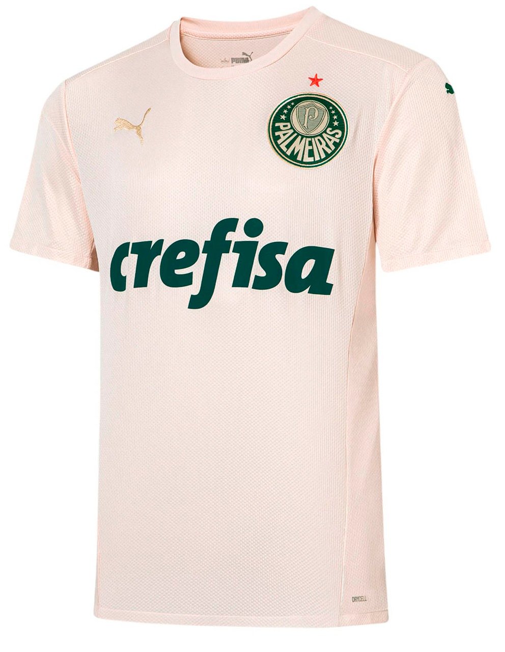 Camisa III Palmeiras 2021 2022 Puma oficial 